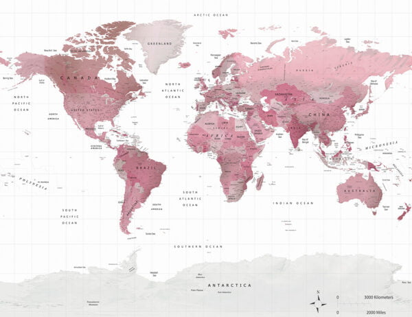 Political map of the world in soft pink color wall mural