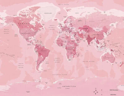 Political map of the world in bright pink color wall mural