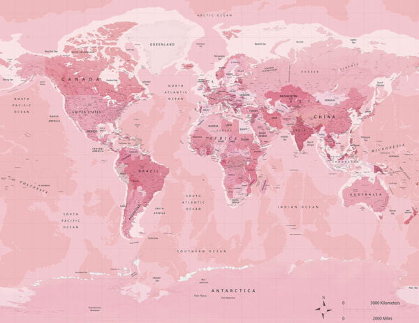 Political map of the world in bright pink color wall mural