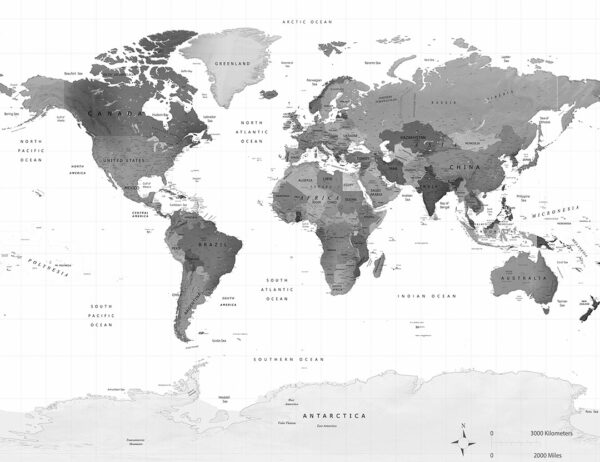 Political map of the world in gray color wall mural