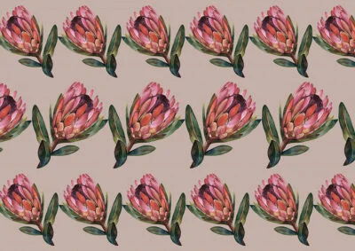 Detailed protea flower patterned wallpaper