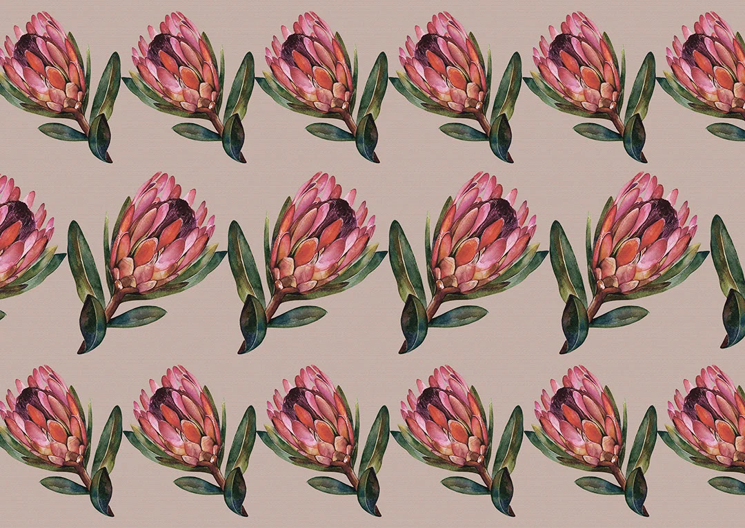 Detailed protea flower patterned wallpaper