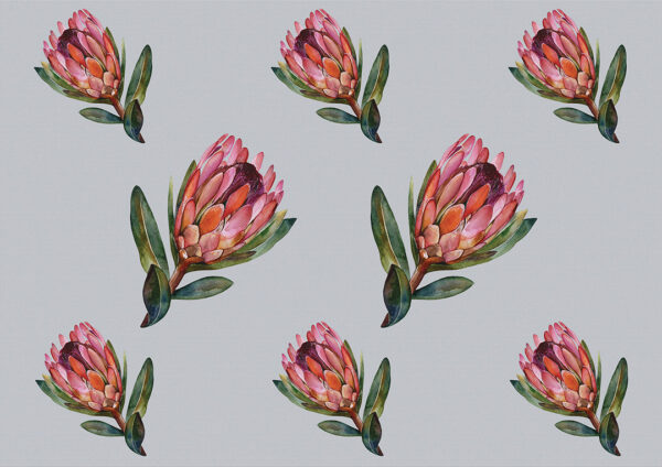 Painted protea flower on a baby-blue background wallpaper