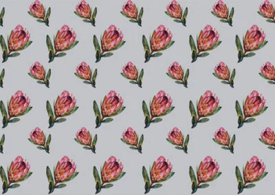Flower wallpaper with pattern of painted proteas