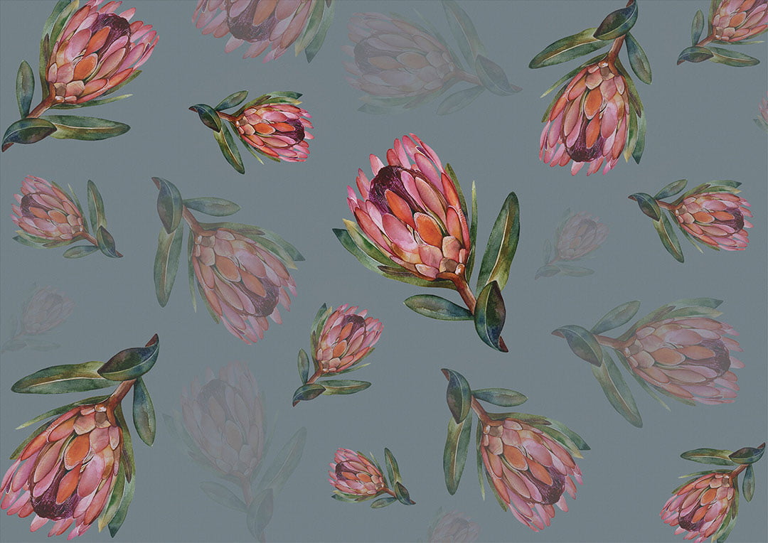 Flower wallpaper with delicate proteas on the blue background