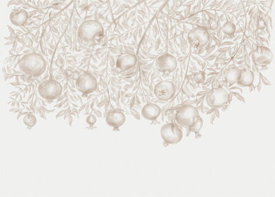 Hand-drawn brown pomegranates on the light background wall mural