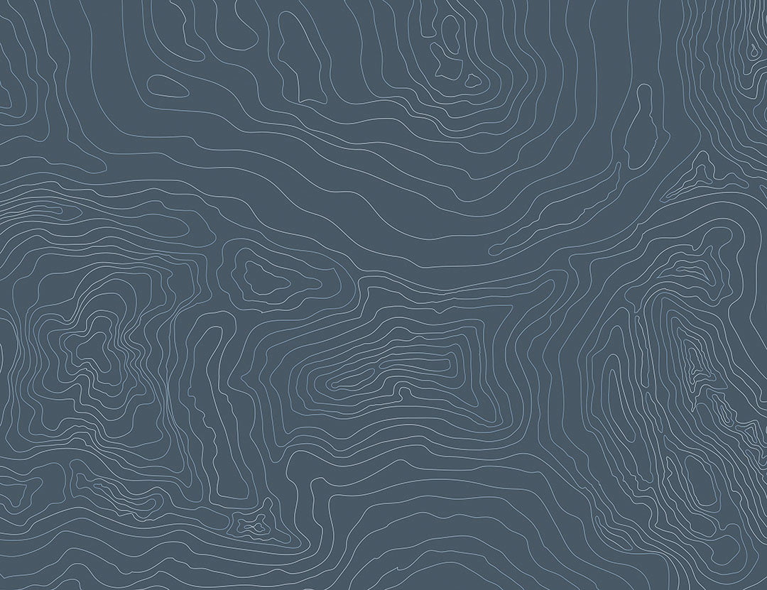 Art wall mural with linear abstract navy blue forms