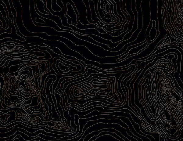 Designer wall mural with linear art in the form of dark tree rings