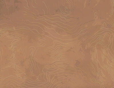 Designer wall mural with linear art in the form of caramel tree rings