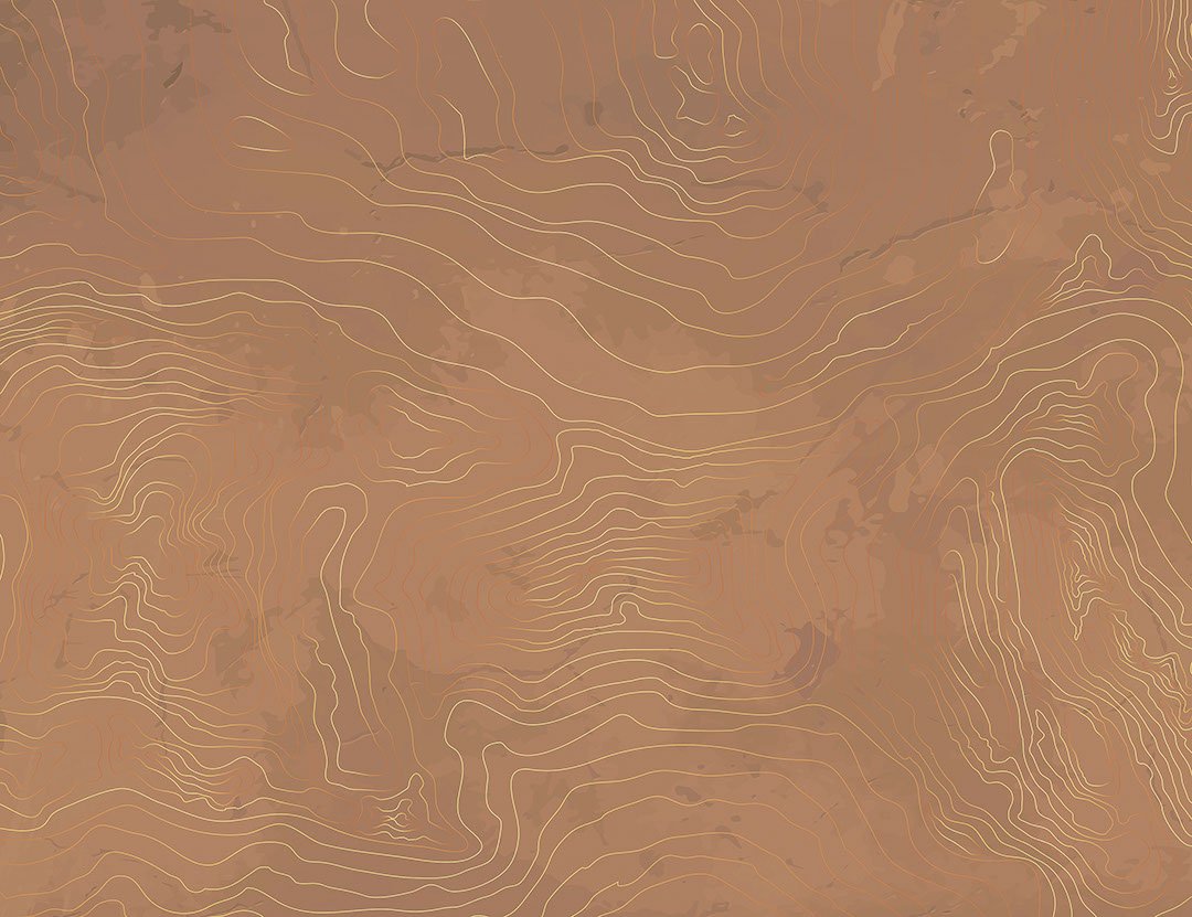 Designer wall mural with linear art in the form of caramel tree rings