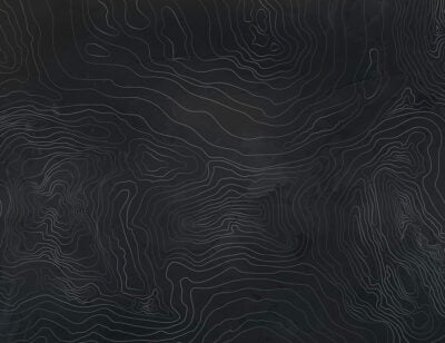 Designer wall mural with silver linear art in the form of black tree rings