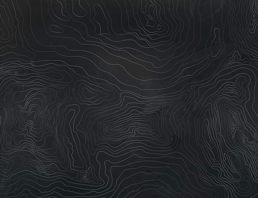 Designer wall mural with silver linear art in the form of black tree rings