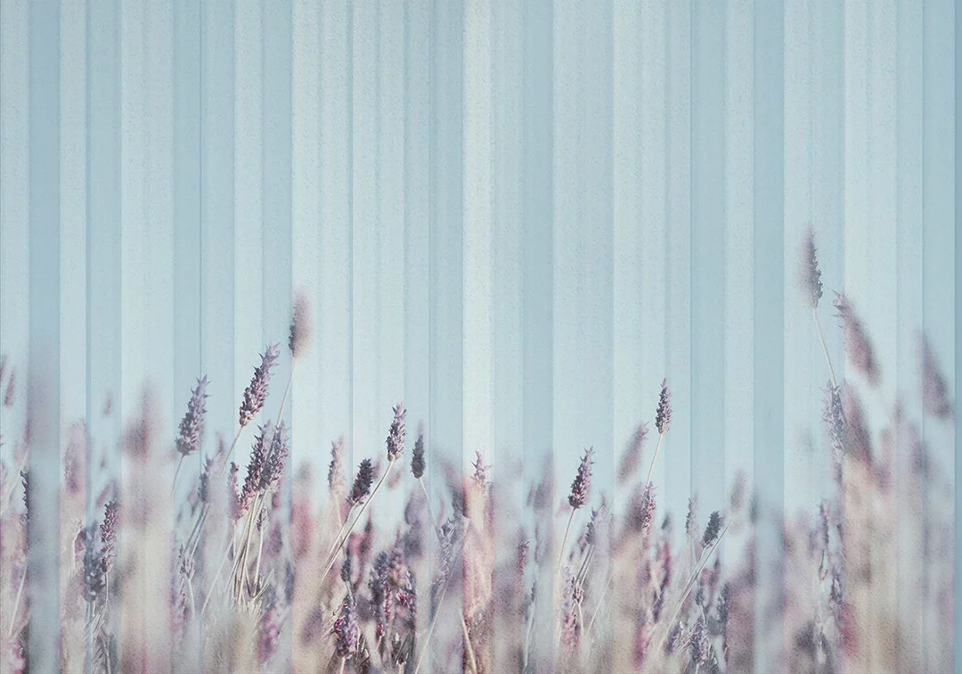 Nature wall mural with delicate lavender behind the blue glass
