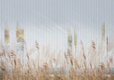 Nature wall mural with golden wheat field behind panels