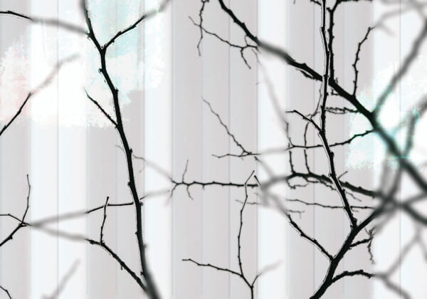 Black tree branches behind white glass wall mural