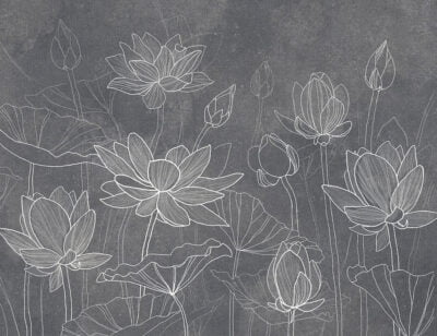 Flower wall mural with tender water lilies on graphite background