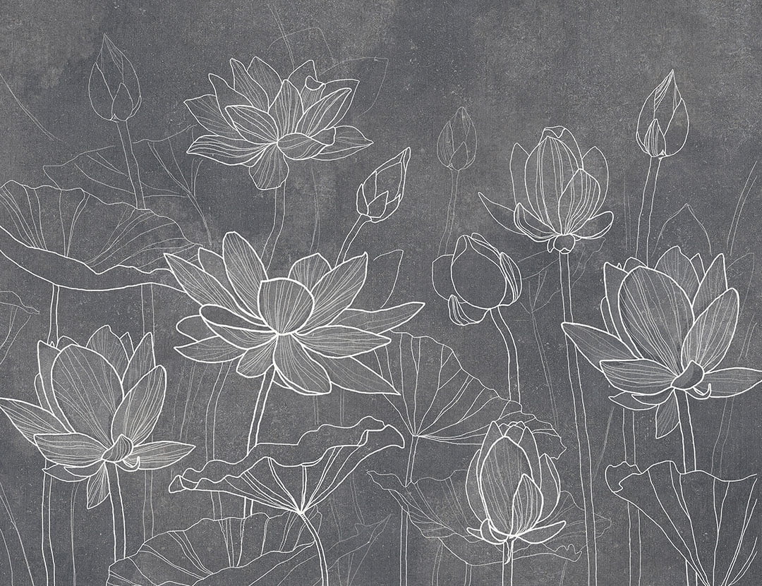 Flower wall mural with tender water lilies on graphite background