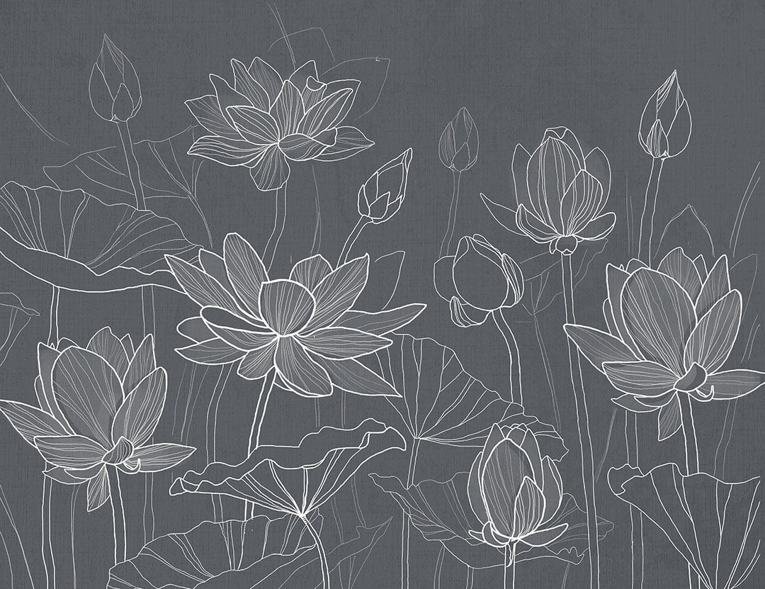 Flower wall mural with minimalistic water lotuses on the gray background