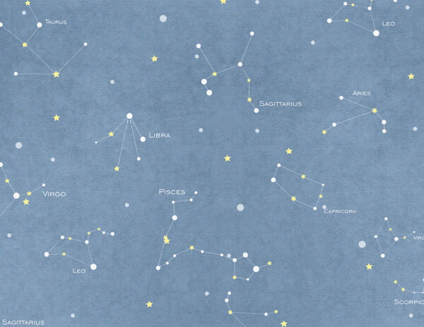 Minimalistic starry blue sky map wall mural