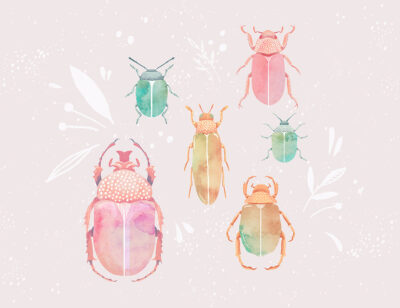 Bright watercolor beetles and leaves wall mural