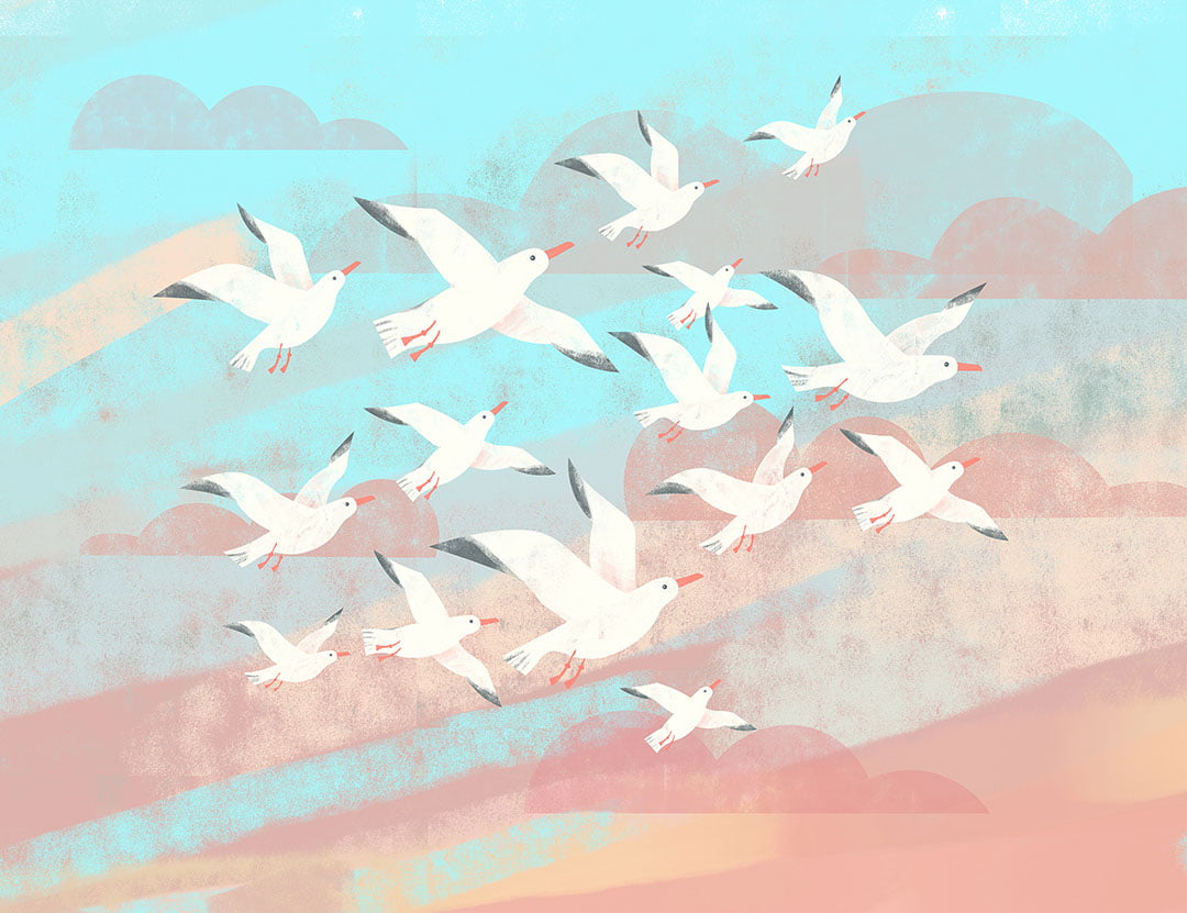 Flock of seagulls in the cloudy sky wall mural