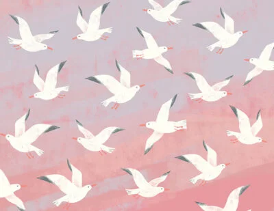 Flock of seagulls in pink sky wall mural