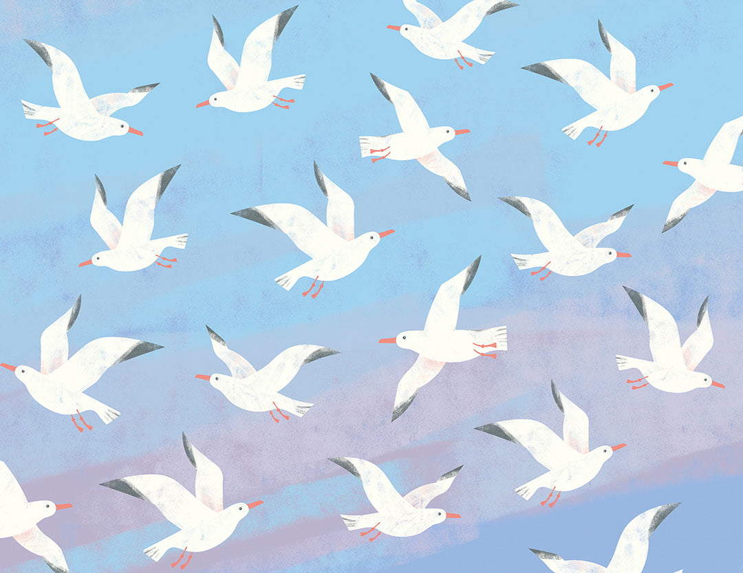 Flock of seagulls in blue sky wall mural