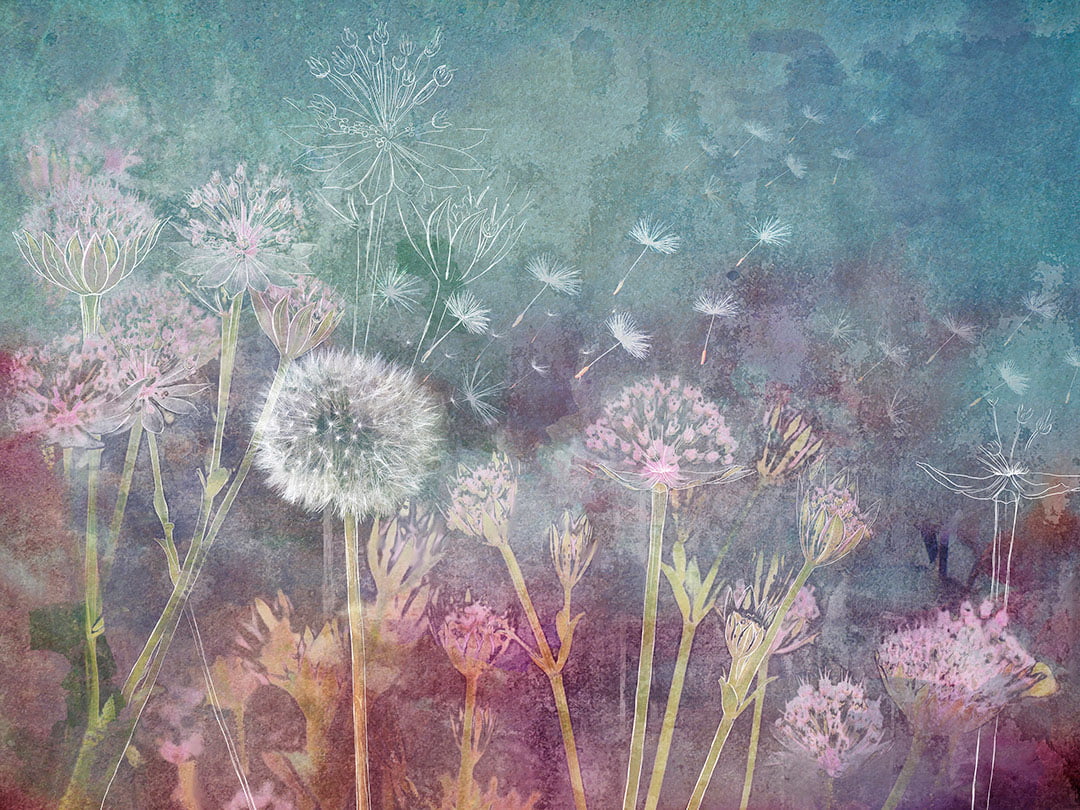 Nature wall mural with dandelion and graphic flowers on bright watercolor background