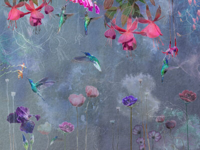 Bright hummingbirds with delicate flowers on the blue background wall mural