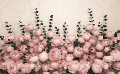 Delicate rose flowers on the textured beige background 3D wall mural