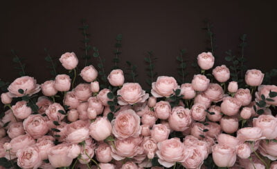 Delicate rose flowers on the dark chocolate background 3D wall mural