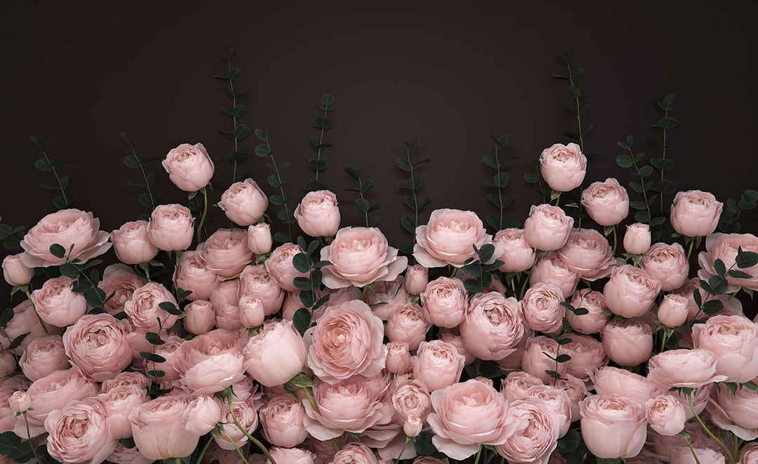 Delicate rose flowers on the dark chocolate background 3D wall mural