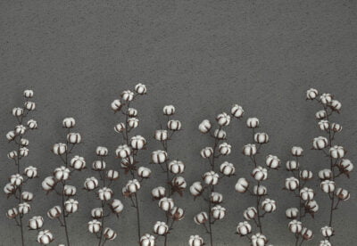 Cotton flowers on the graphite textured background 3D wall mural