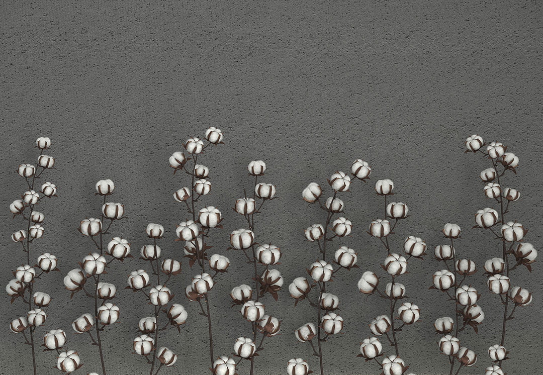 Cotton flowers on the graphite textured background 3D wall mural