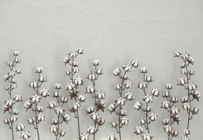 Cotton flowers on the gray textured background 3D wall mural