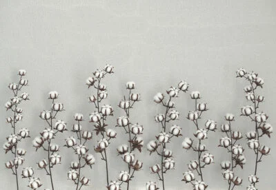 Cotton flowers on the gray textured background 3D wall mural