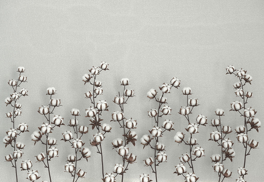 Cotton flowers on the gray textured background 3D wall mural