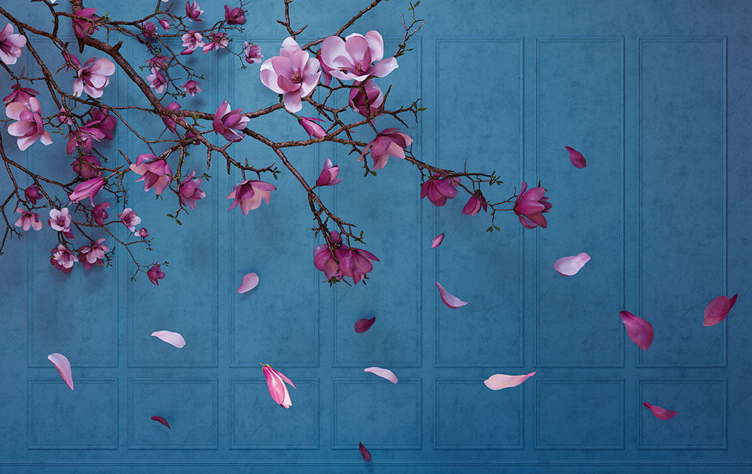 Purple cherry blossoms 3D wall mural with indigo wall panels