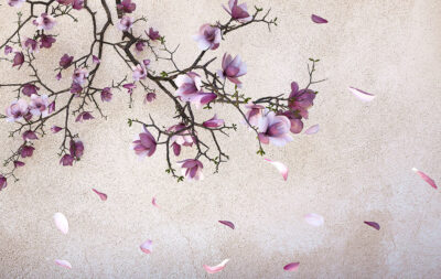 Sakura branches on the textured background 3D wall mural