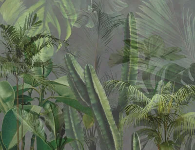 Tropical wall mural with leaves and cacti on a gray background