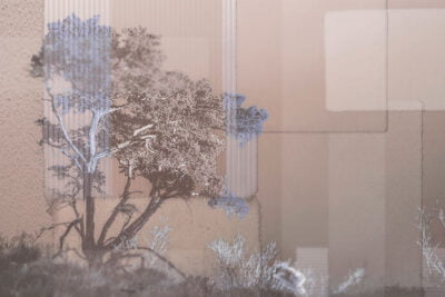 Collage of African trees and geometric shapes wall mural in beige and blue tones