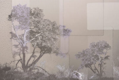 Collage of African trees and geometric shapes wall mural in pastel tones