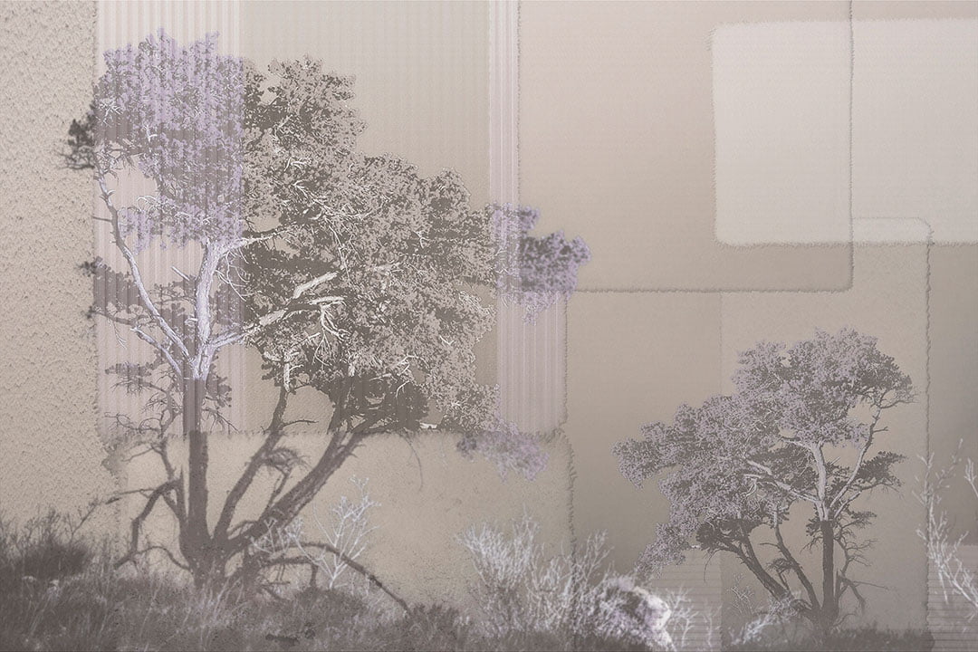 Collage of African trees and geometric shapes wall mural in pastel tones
