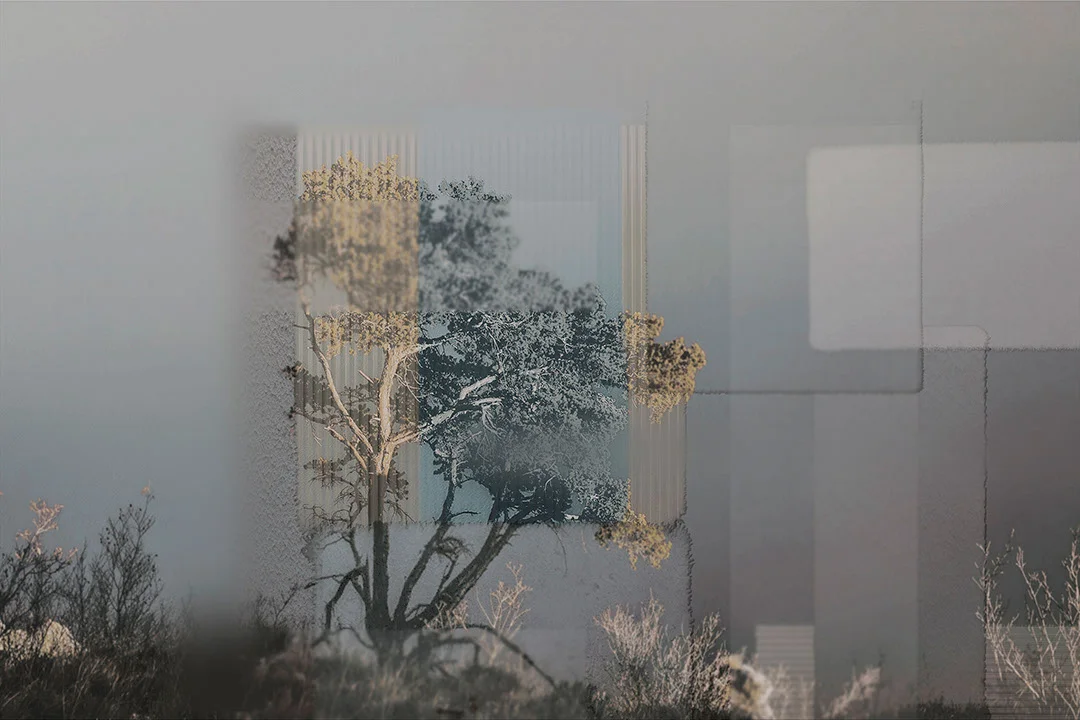 Designer wall mural with collage of trees and geometric shapes