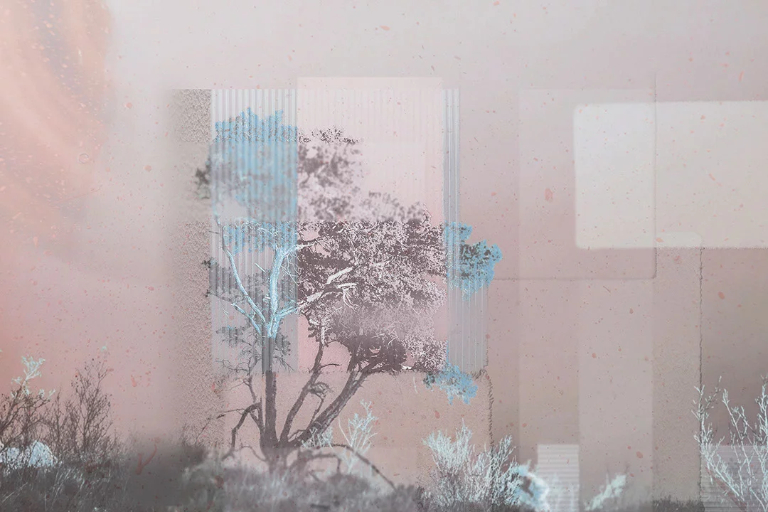 Designer wall mural with collage of trees and geometric shapes in bright tones