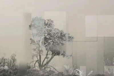 Collage of trees and geometric shapes wall mural in gray tones