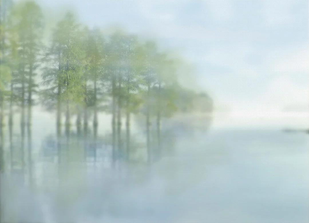 Nature wall mural with blurred outlines of the forest above the lake