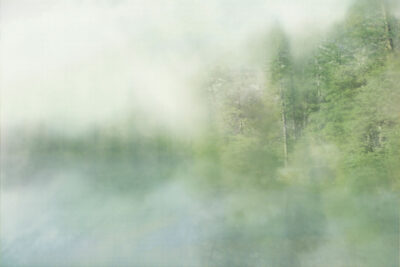 Blurred outlines of a green forest wall mural