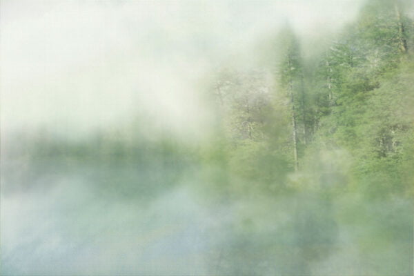 Blurred outlines of a green forest wall mural