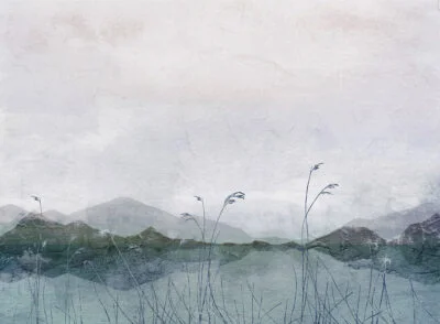 Designer wall mural with lake, grass, mountains and decorative plaster effect